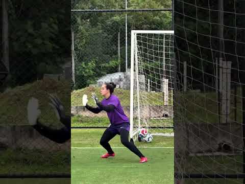 image para ilustrar o artigo