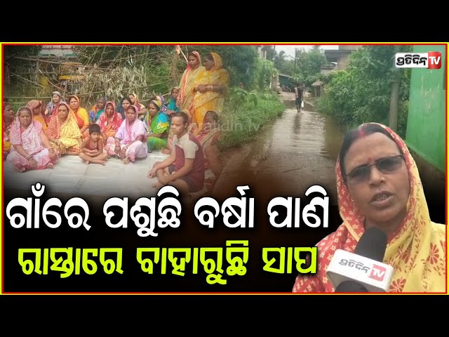 ବାରୁଆ ଗାଁ ଢିଅ ସାହି ରାସ୍ତା ପାଲଟିଛି ପୋଖରୀ ! Heavy rains cause waterlogging in Kendrapada .