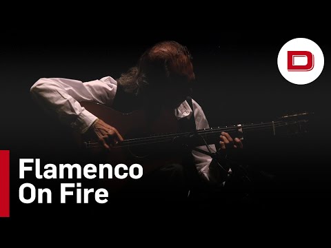 Flamenco On Fire, el festival que conquista Navarra