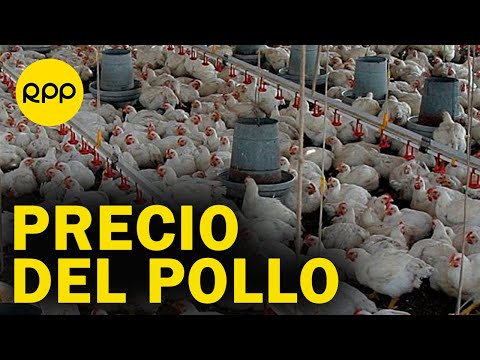Perú: Precio del pollo se mantiene alto, ¿cuánto cuesta en mercados y supermercados