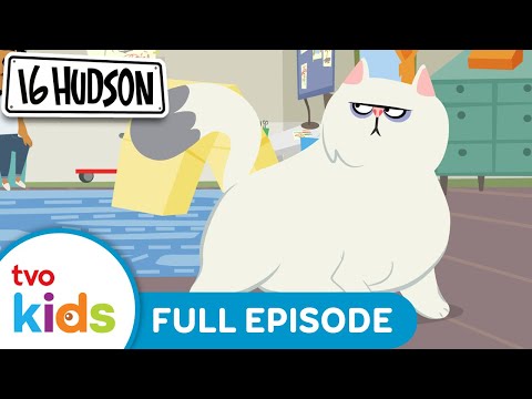 16 HUDSON Season 3 – The Perfect Room – Full Episode