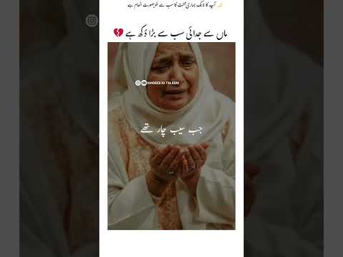 Maa 🌸 Allah ki rehmat zameen par 🌸 | Islamic Status #shorts #allah #islam #islamicquotes