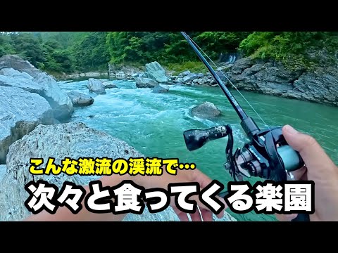 令和の時代にまだこんなパラダイスが存在してるなんて…