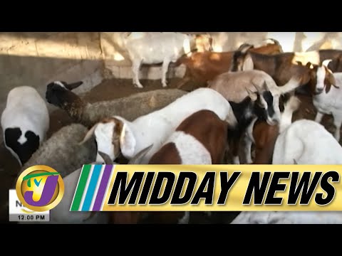 Attack on Goat Farm Leave 3 Injured | RADA Board Members Fired | TVJ Midday News - Dec 10 2021