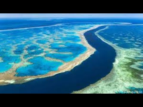 La Gran Barrera de coral de Australia sufre el impacto ambiental