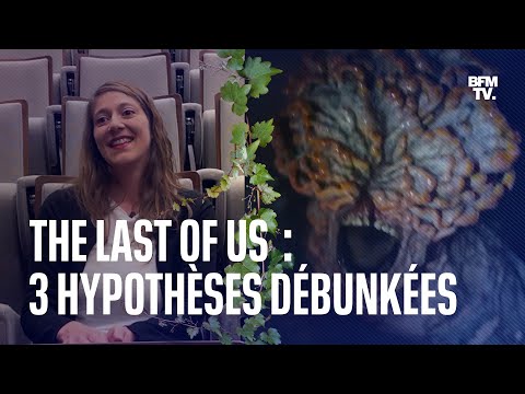 The Last of Us: une experte en champignons de l'Institut Pasteur débunke le cordyceps de la série