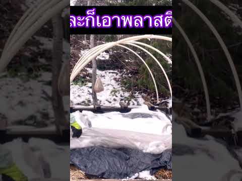 คลุมดินเพื่อหน้าฤดูใบไม้ผลิจะไ