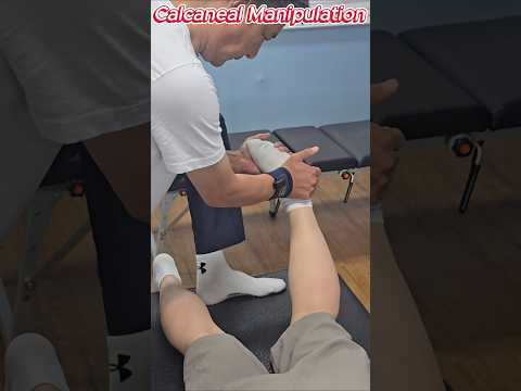 <strong>종골</strong>, 거골 조정 카이로프랙틱 manipulation 교육 calcaneus talus adjustment #카이로프랙틱 #카이로프랙틱교육 #chiropractic #발목교정