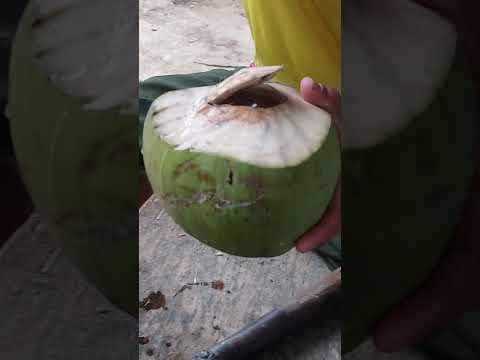 ปอกมะพร้าวอ่อน-coconutcuting