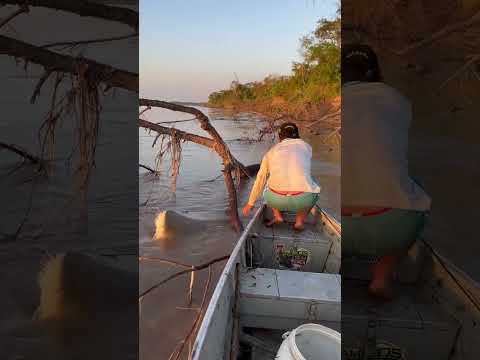 Uy ! que es lo que hay en el agua!