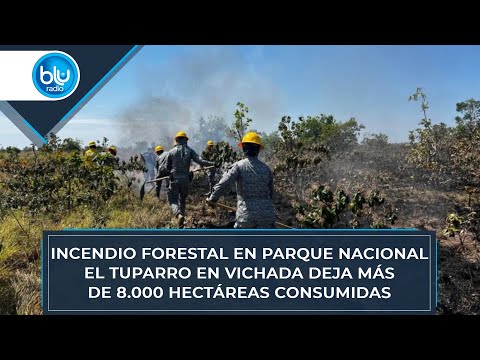 Incendio forestal en Parque Nacional El Tuparro en Vichada deja más de 8.000 hectáreas consumidas