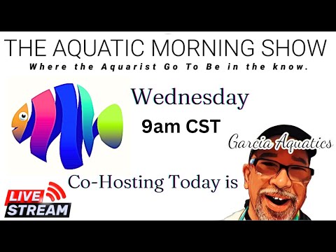 The Aquatic Morning Show Today is Garcia Wednesday.  So come join us for a fun hump day live stream. We are back for the Summ