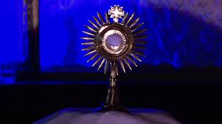 Amor incomparavel- (Colo de Deus) | Cover español Misión Música - Lazos de Amor Mariano