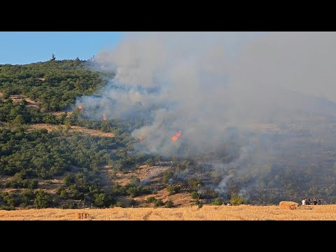 Turkey battles several wildfires as heatwave fuels rapid spread | AFP