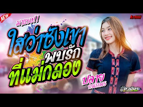 แสดงสดใสว่าซังเขา-พบรักที่แม่