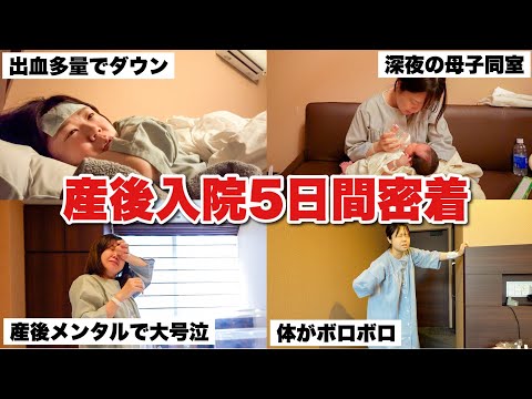 【密着】産後入院生活のリアル過ぎる5日間。母子同室が想像以上にキツかった…|無痛分娩|初産