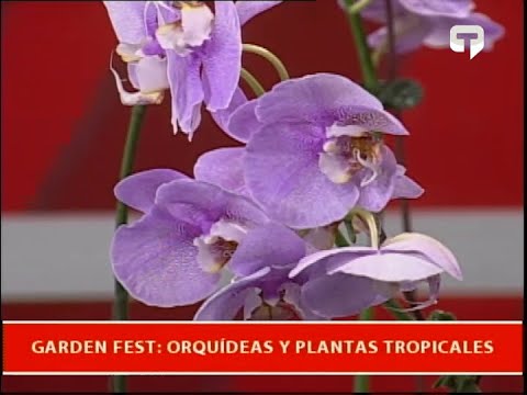 Garden Fest Orquídeas y plantas tropicales