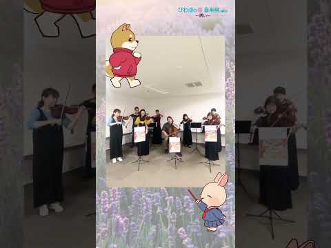 【びわ湖の春 音楽祭2026】神戸市室内管弦楽団さんよりメッセージが届きました②