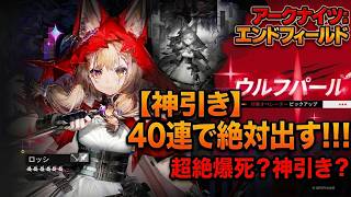 【エンドフィールド】ロッシガチャ40連した結果www【エンドフィールド】【Arknights: Endfield】【転生したら管理人だった件