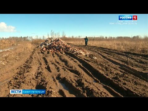 Вести Санкт-Петербург. Выпуск 9:00 от 02.04.2021
