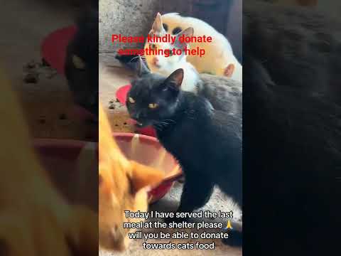 please help and donate something to help