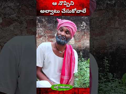 ఆ నొప్పి అల్వాటు చేసుకొవాలే #comedy #trending #trolling #viral #palleramulu #comedy #shorts #fun