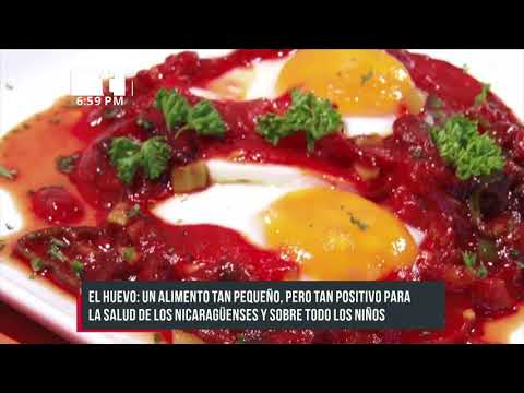 Huevo, alimento nutritivo y valioso para las familias nicaragüenses