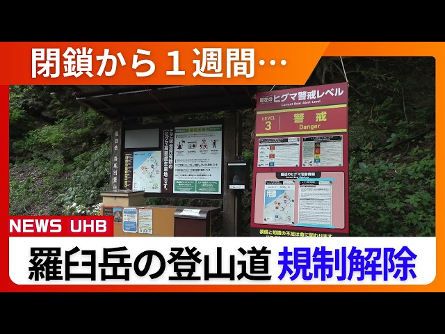 Image of Popular Hokkaido Mountain Reopens After Bear Scare