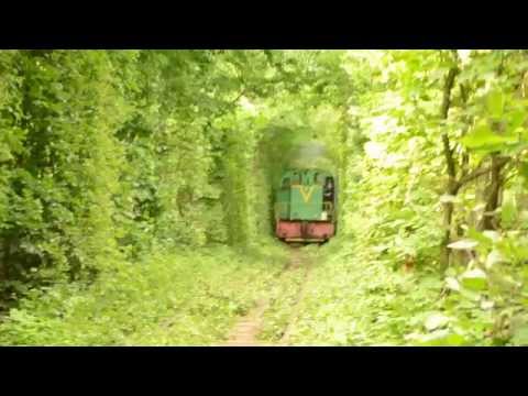 The train in the tunnel of love in Ukraine/ Потяг у Тунелі кохання. Клевань