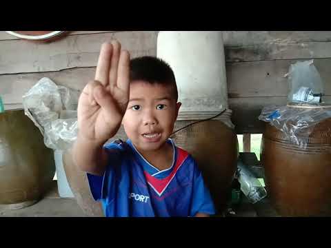 โดนแตนเอาหนามแทงหัว โดนแตนเอาหนามแทงหัว