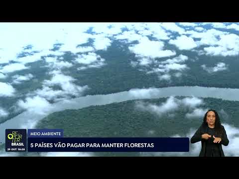 Cinco países vão pagar para manter florestas