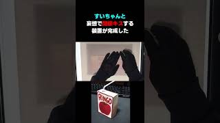 遂に完成しました。すいちゃんと妄想で間接キスする装置が【星街すいせい/ホロライブ切り抜き】