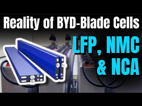 Reality Of BYD Blade Cells | LFP vs NMC Battery Cells | Fire Proof Lithium Cell | Fire Proof Battery