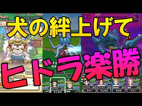 ドラクエウォーク301【てんどうししの絆上げは早めにやろう！そしたらキングヒドラも楽勝になった！】