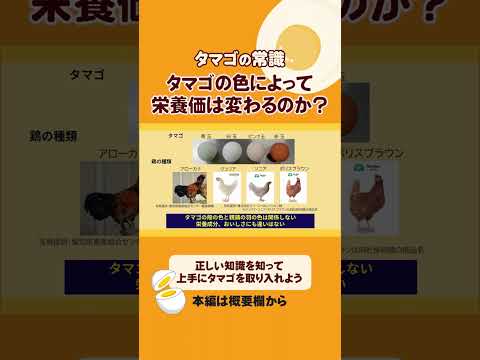 【専門家が教える】タマゴの色によって栄養価は変わるのか?