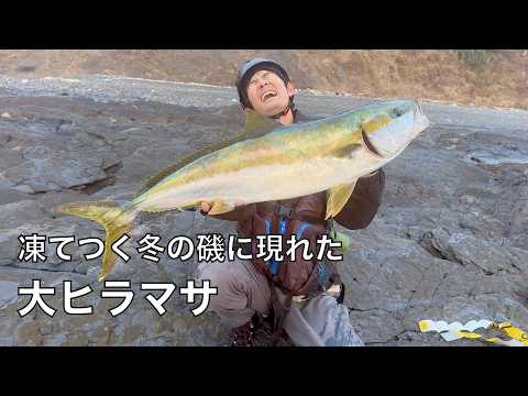 釣り歩いてようやく見つけた青物の大群！ついに念願の大ヒラマサを釣り上げた！！