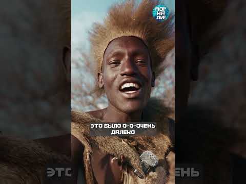 Он выcледил леопарда… но тот нaпaл первым #африка