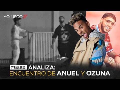 Anuel y Ozuna ¿ El junte más esperado ? ¿ TRAP o COMERCIAL ? Hay fuego en #ElPalabreo