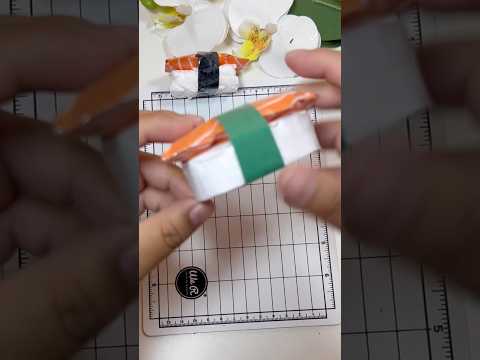 Sushi squishy #diy #bluey #burrikiki