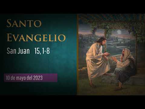 Evangelio del 10 de mayo del 2023  según San Juan 15, 1-8