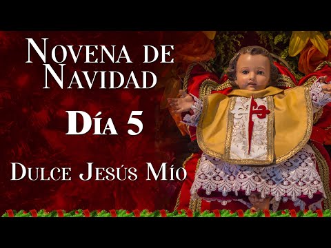Novena de NAVIDAD al Niño Dios - Día 5  #navidad #novena