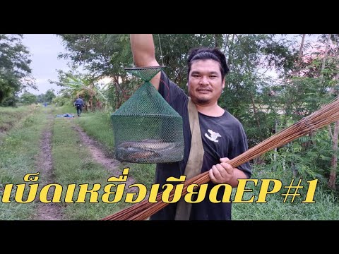 ฟ้าสางที่วังช้าง-ปักเบ็ดเหยื่อ ฟ้าสางที่วังช้าง-ปักเบ็ดเหยื่อ
