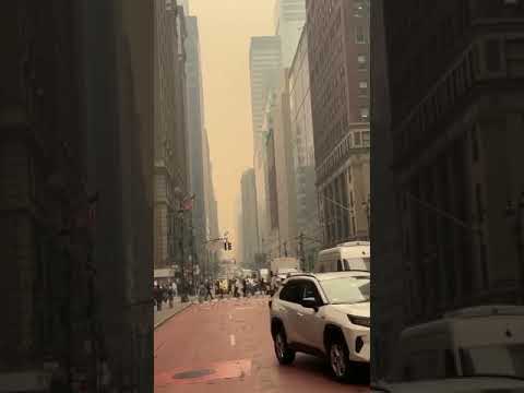 REPORTAN HUMO POR INCENDIO FORESTAL EN MANHATTAN