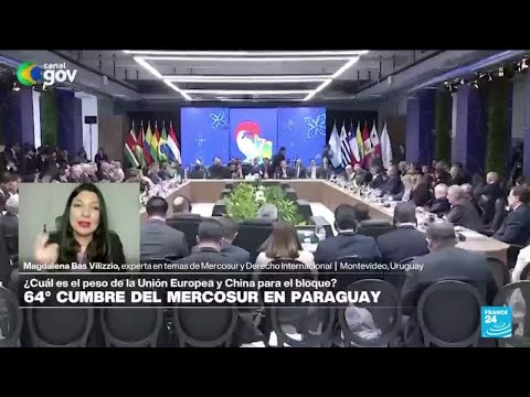 Magdalena Bas Vilizzio: 'La UE tiene un renovado interés en el Mercosur por el litio'