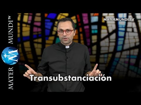 En misa, asistamos de rodillas al milagro de la transubstanciación (3/5) - P. Valentín Aparicio