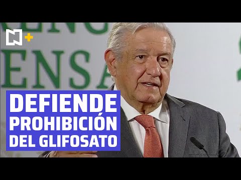 AMLO critica a juez que otorgó a Monsanto suspensión contra prohibición del glifosato