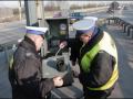 Interwencja Policji: dziki dzik