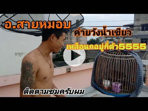 สายหมอบบอกว่านกคึกจัด...ทั้งหม สายหมอบบอกว่านกคึกจัด...ทั้งหม