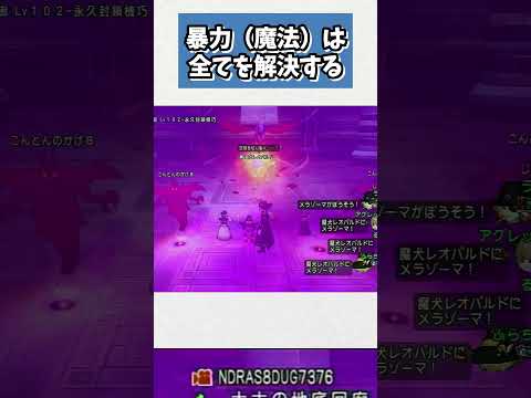 ドラクエ10 魔法使いでレオパルドが即落ちさせられる