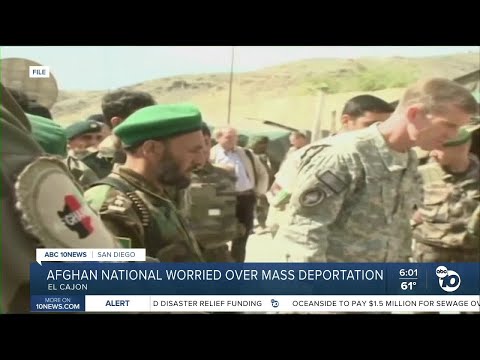 Afghan national worried over mass deportation